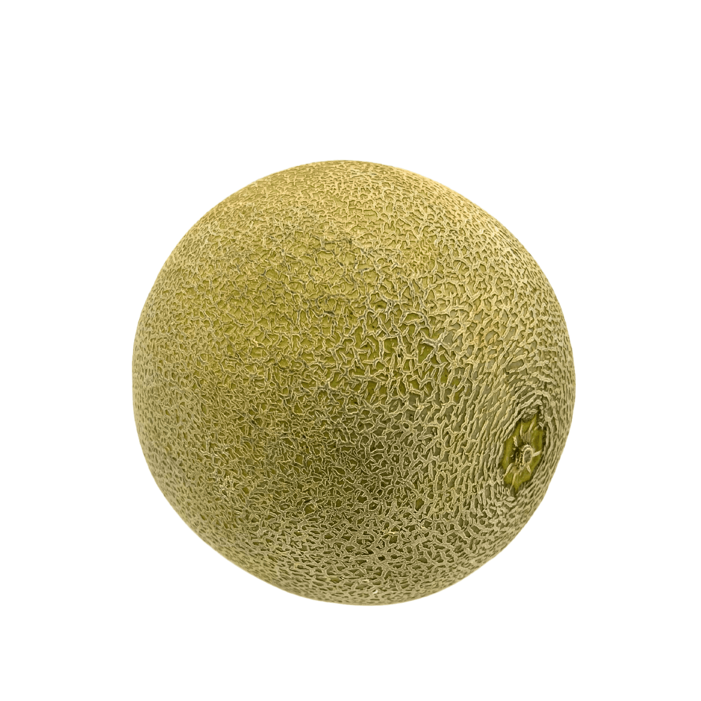 Cantaloupe, 0.99lb,avg weight: 2.40lb, sold in singles